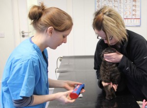 Client With Cat & Nurse